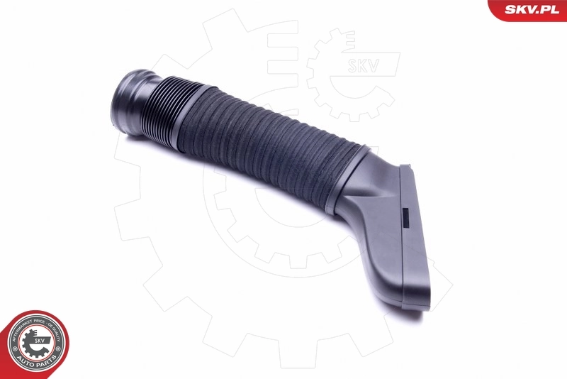 Intake Hose, air filter 43SKV905