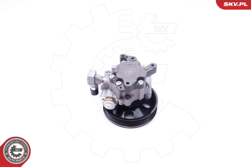 Hydraulic Pump, steering 10SKV270