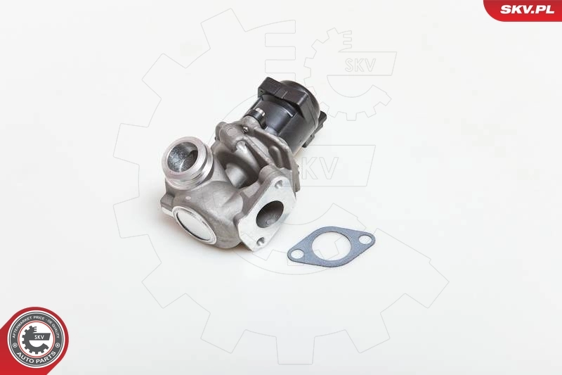 EGR Valve 14SKV028
