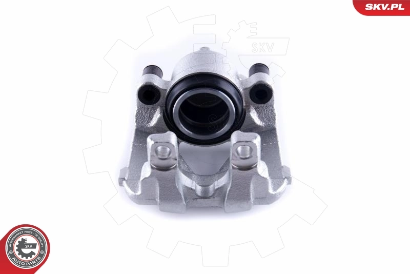 Brake Caliper 55SKV251