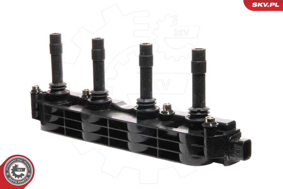 Ignition Coil 03SKV013