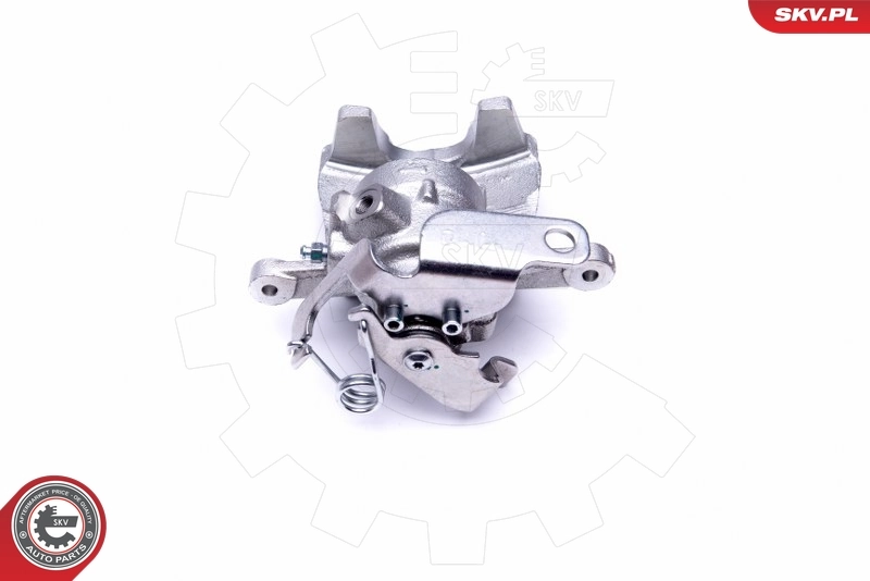 Brake Caliper 50SKV043