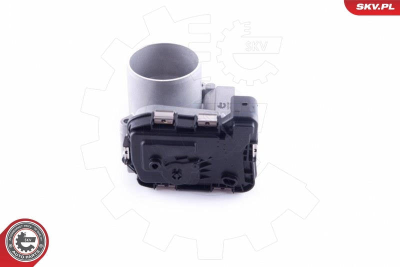 Throttle Body 12SKV087