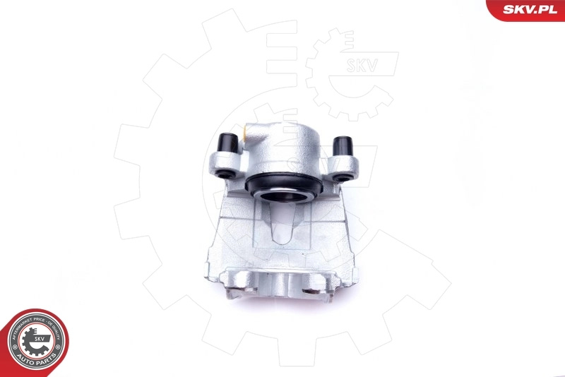 Brake Caliper 42SKV372