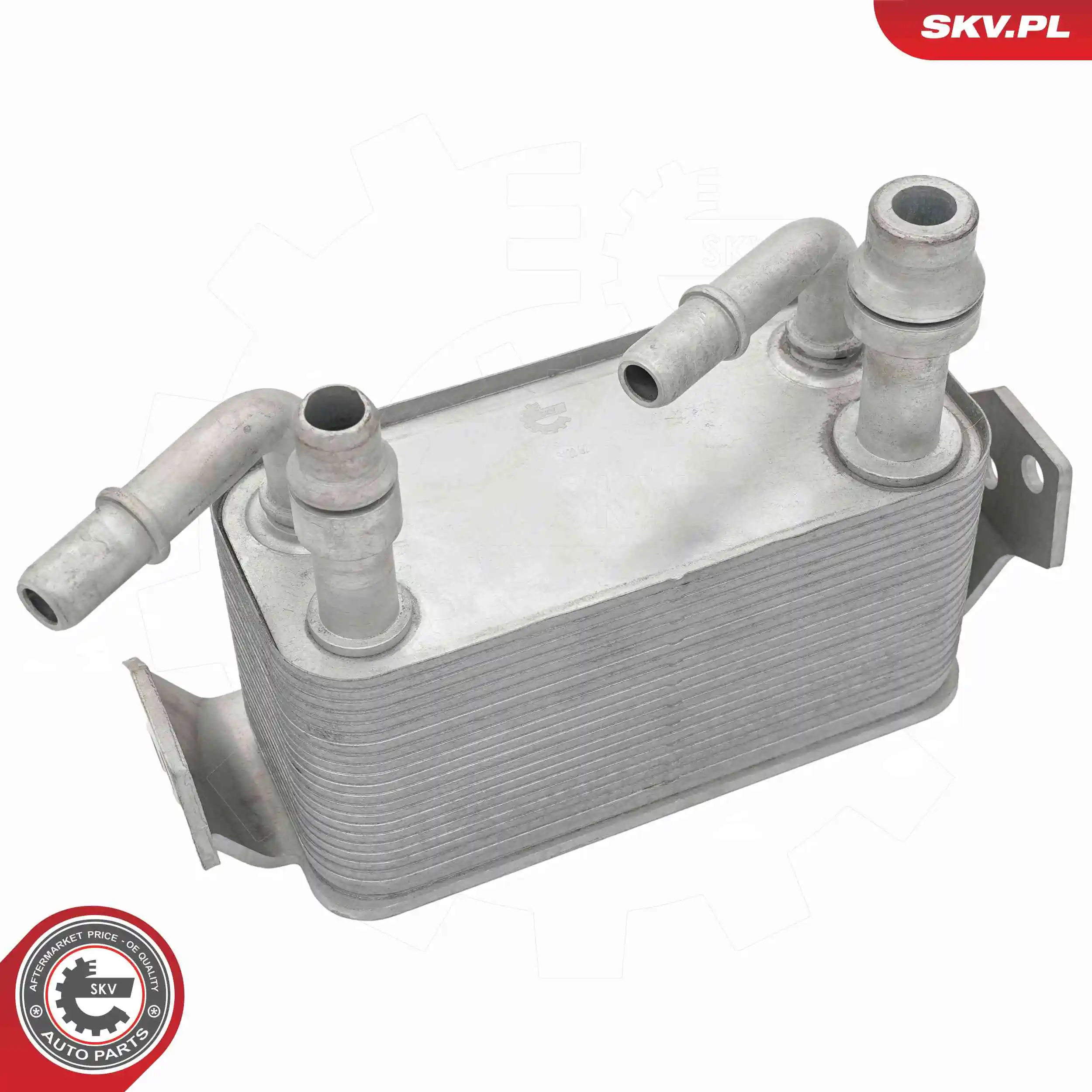 Oil Cooler, engine oil 31SKV372