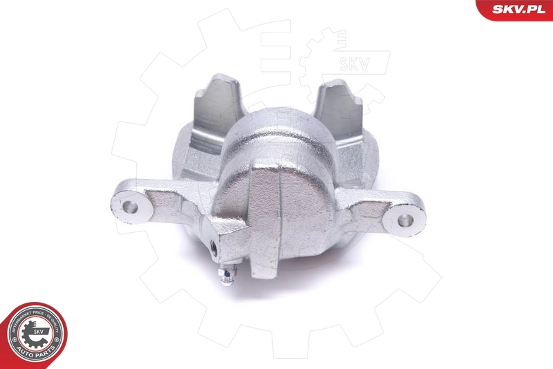Brake Caliper 55SKV712