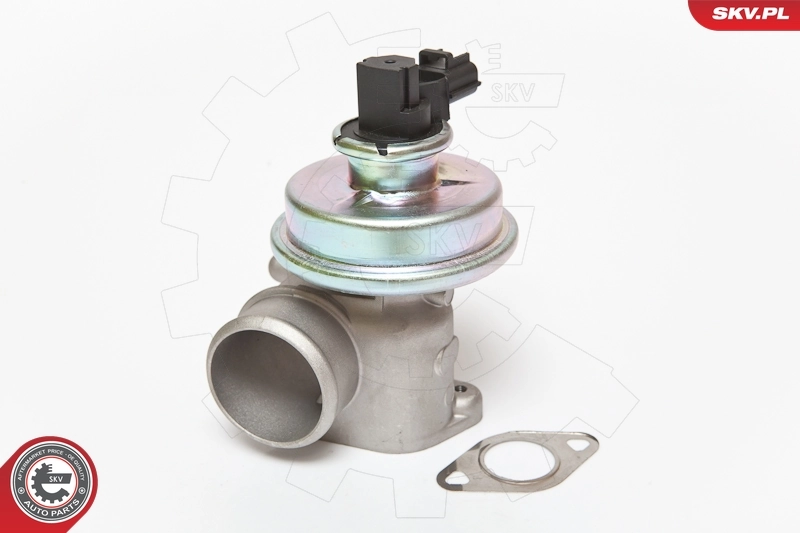EGR Valve 14SKV061