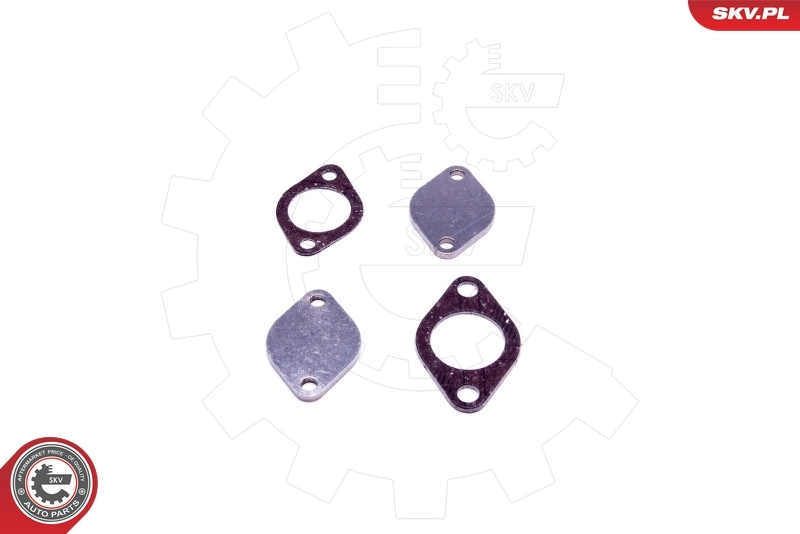 ESEN SKV 14SKV562 Repair Set, EGR valve