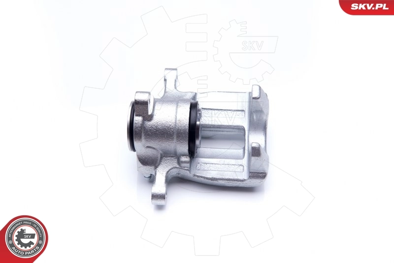 Brake Caliper 34SKV784