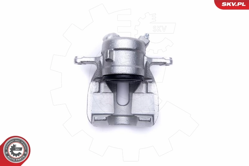 Brake Caliper 46SKV782