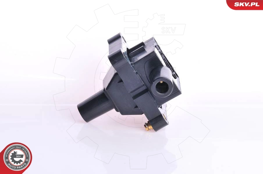 Ignition Coil 03SKV053