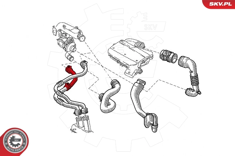 Charge Air Hose 43SKV038