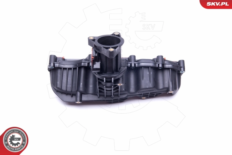 Intake Manifold Module 49SKV008