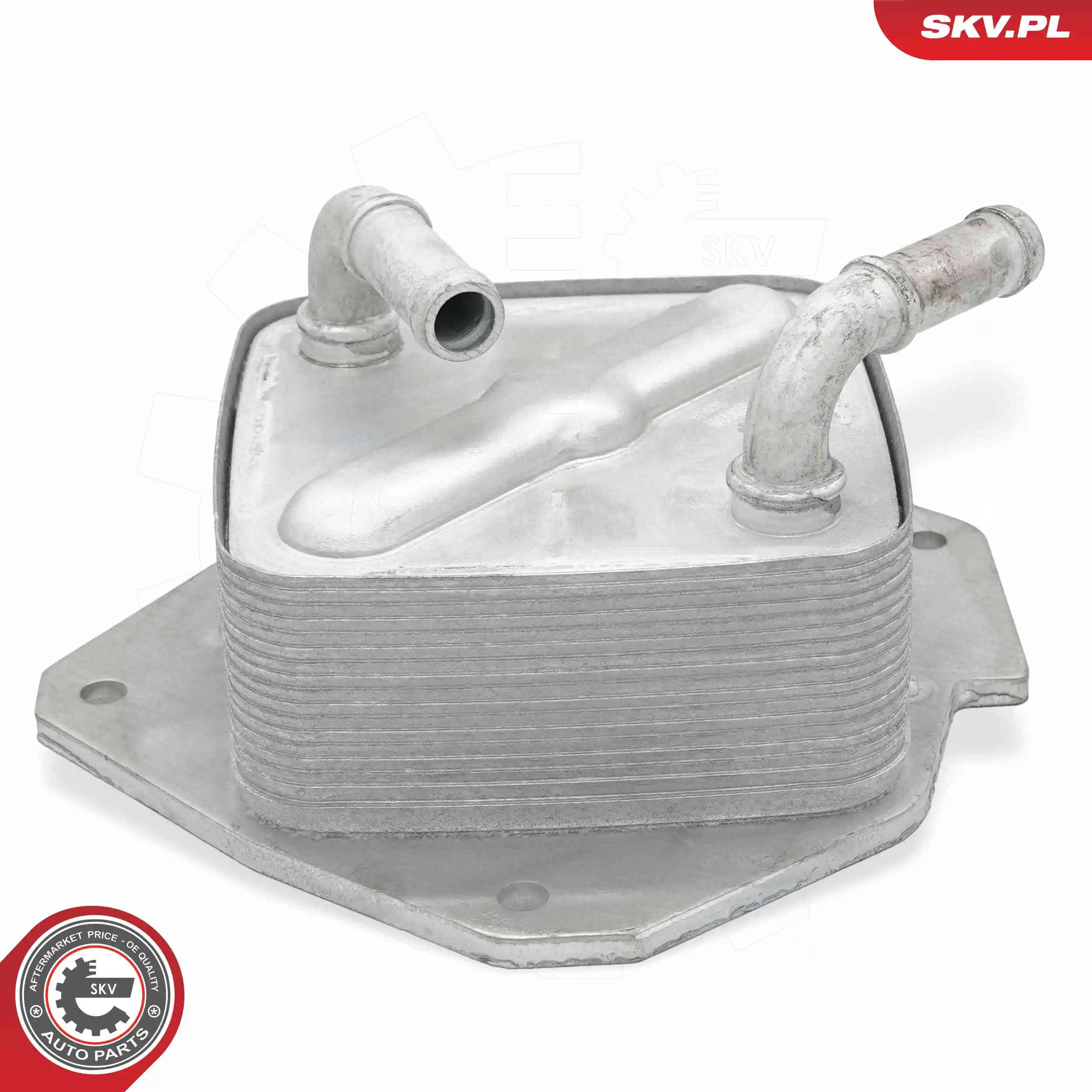 Oil Cooler, engine oil 31SKV349