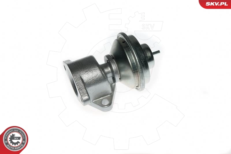 Válvula EGR 14SKV049