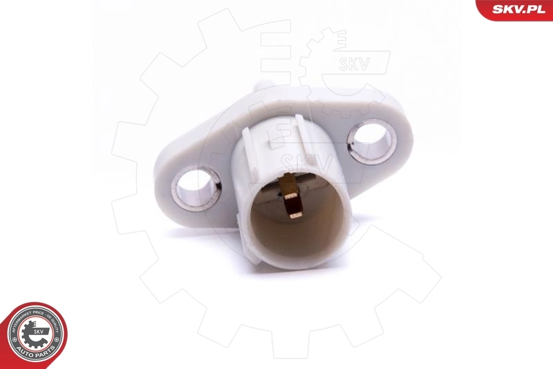 ESEN SKV 17SKV676 Sensor, intake air temperature