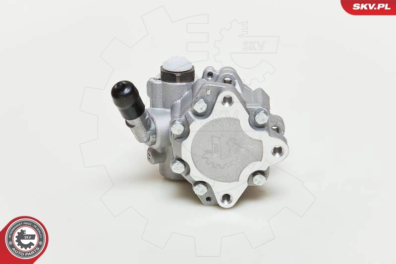 Hydraulic Pump, steering 10SKV048