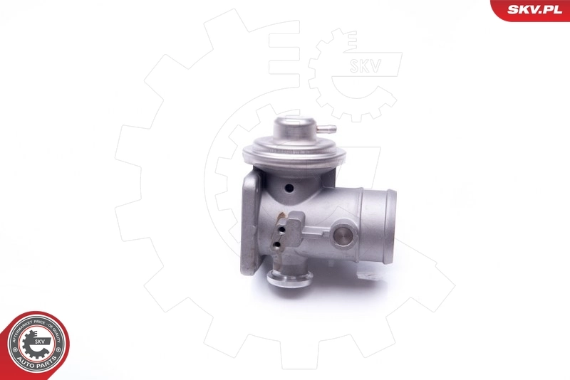 EGR Valve 14SKV107