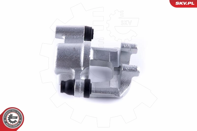 Brake Caliper 55SKV314