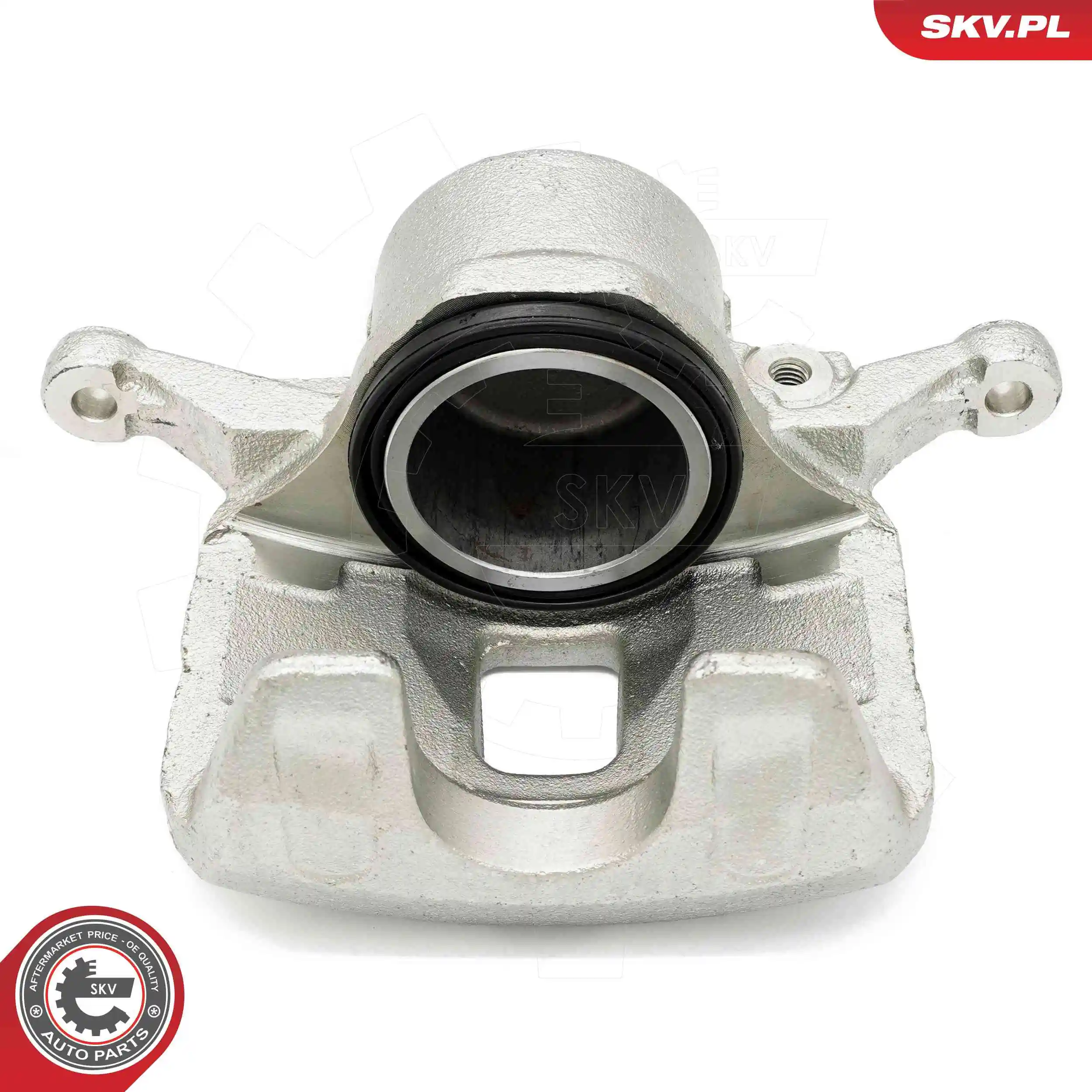 Brake Caliper 67SKV061