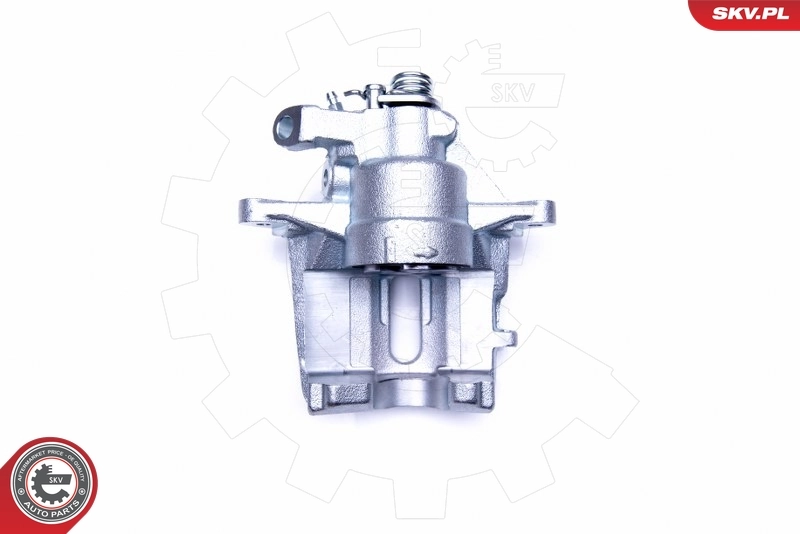 Brake Caliper 42SKV911