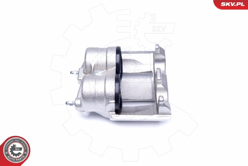 Brake Caliper 42SKV122