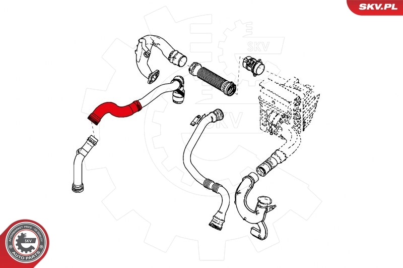 Charge Air Hose 24SKV915