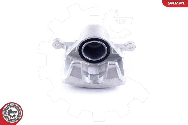 Brake Caliper 46SKV901