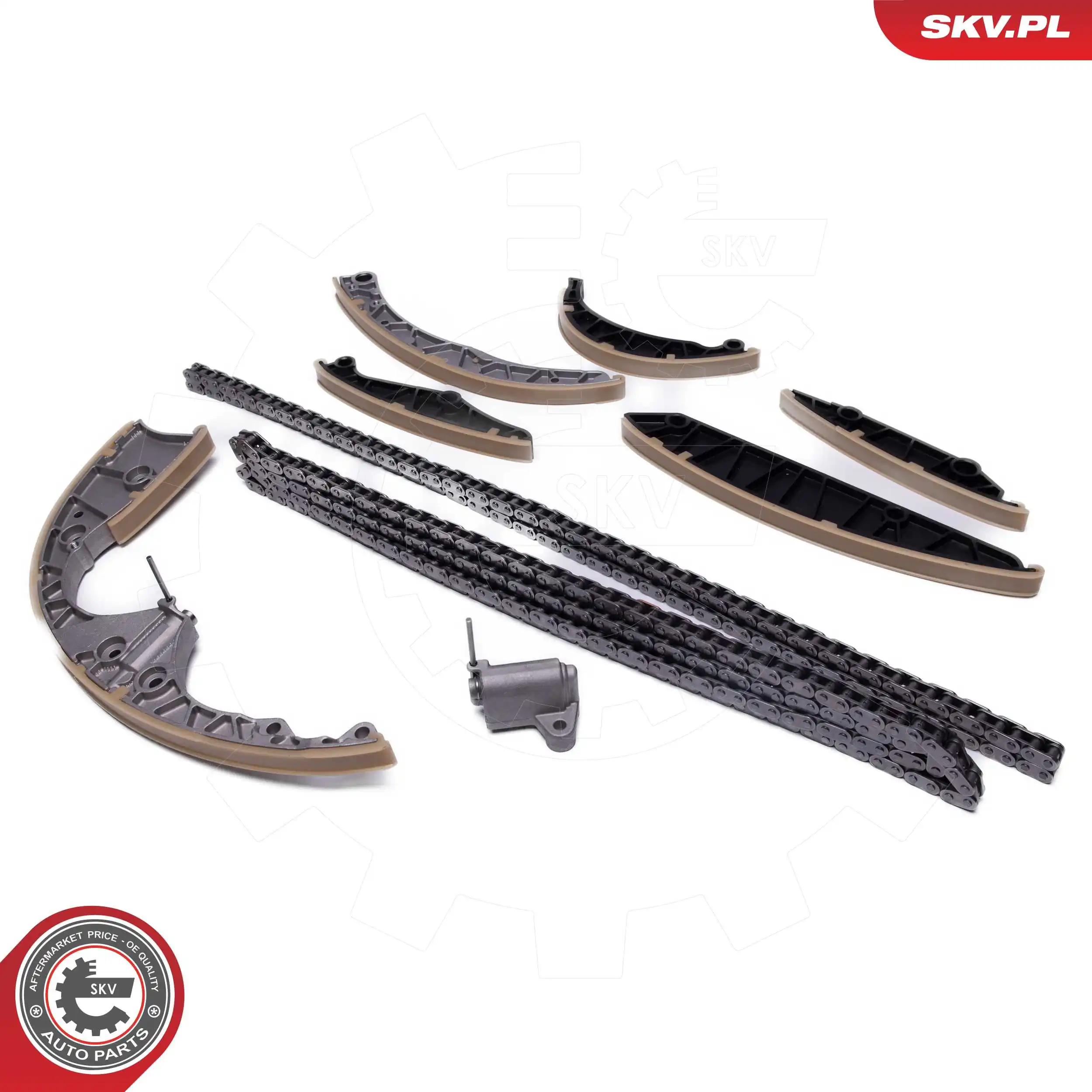 Timing Chain Kit 21SKV257