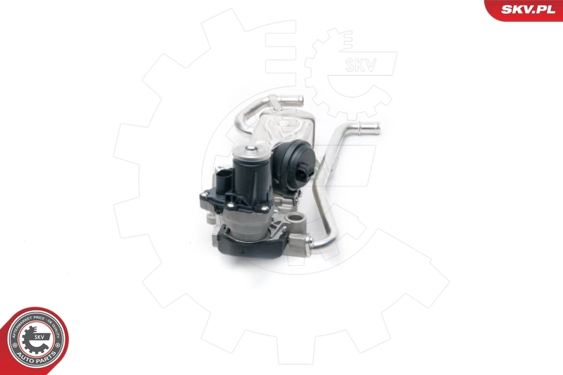EGR Valve 14SKV096