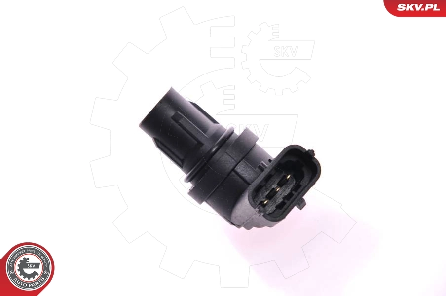 Sensor, camshaft position 17SKV229