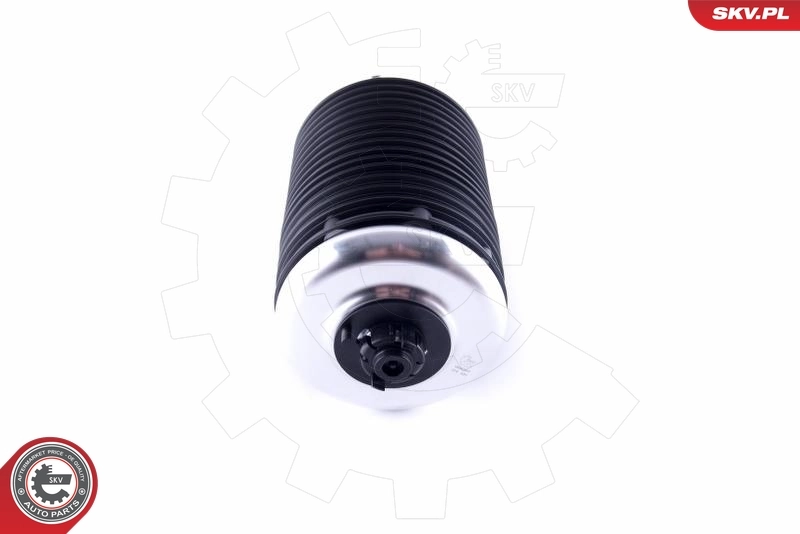 Air Spring, suspension 58SKV017
