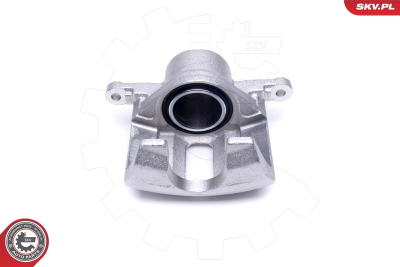 Brake Caliper 50SKV412