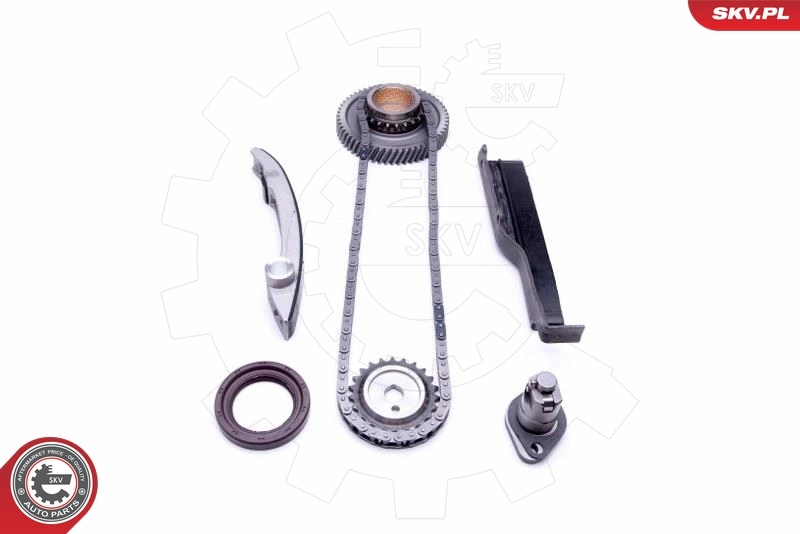 Timing Chain Kit 21SKV214