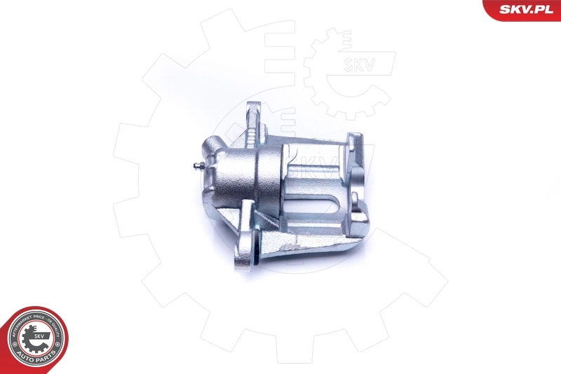 Brake Caliper 42SKV842