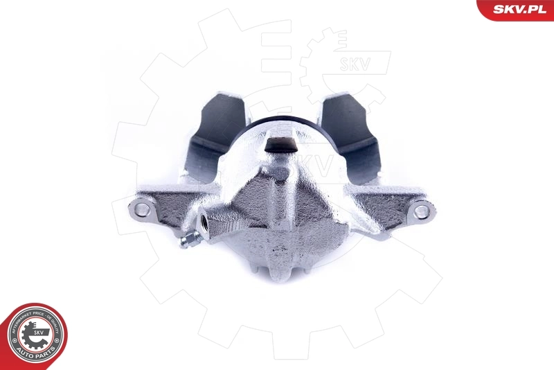 Brake Caliper 55SKV052