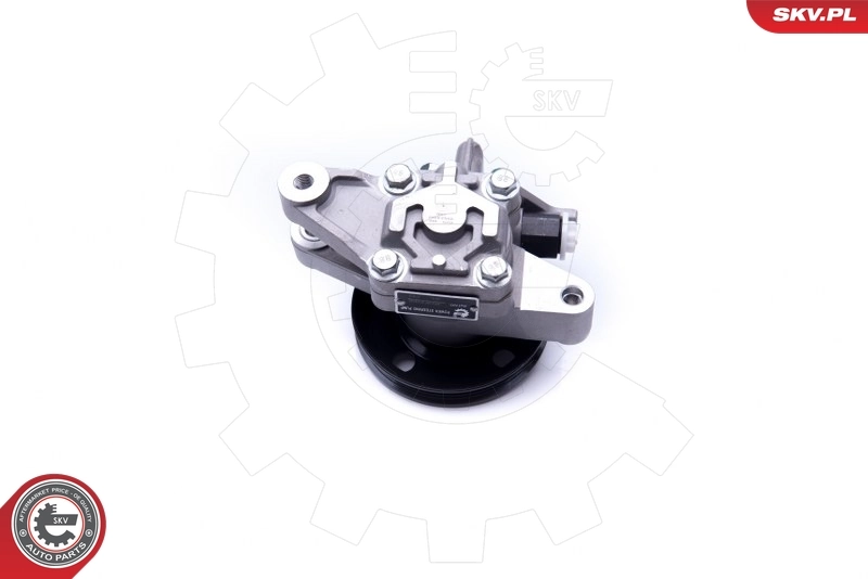 Hydraulic Pump, steering 10SKV262