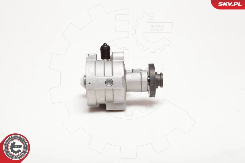 Hydraulic Pump, steering 10SKV054