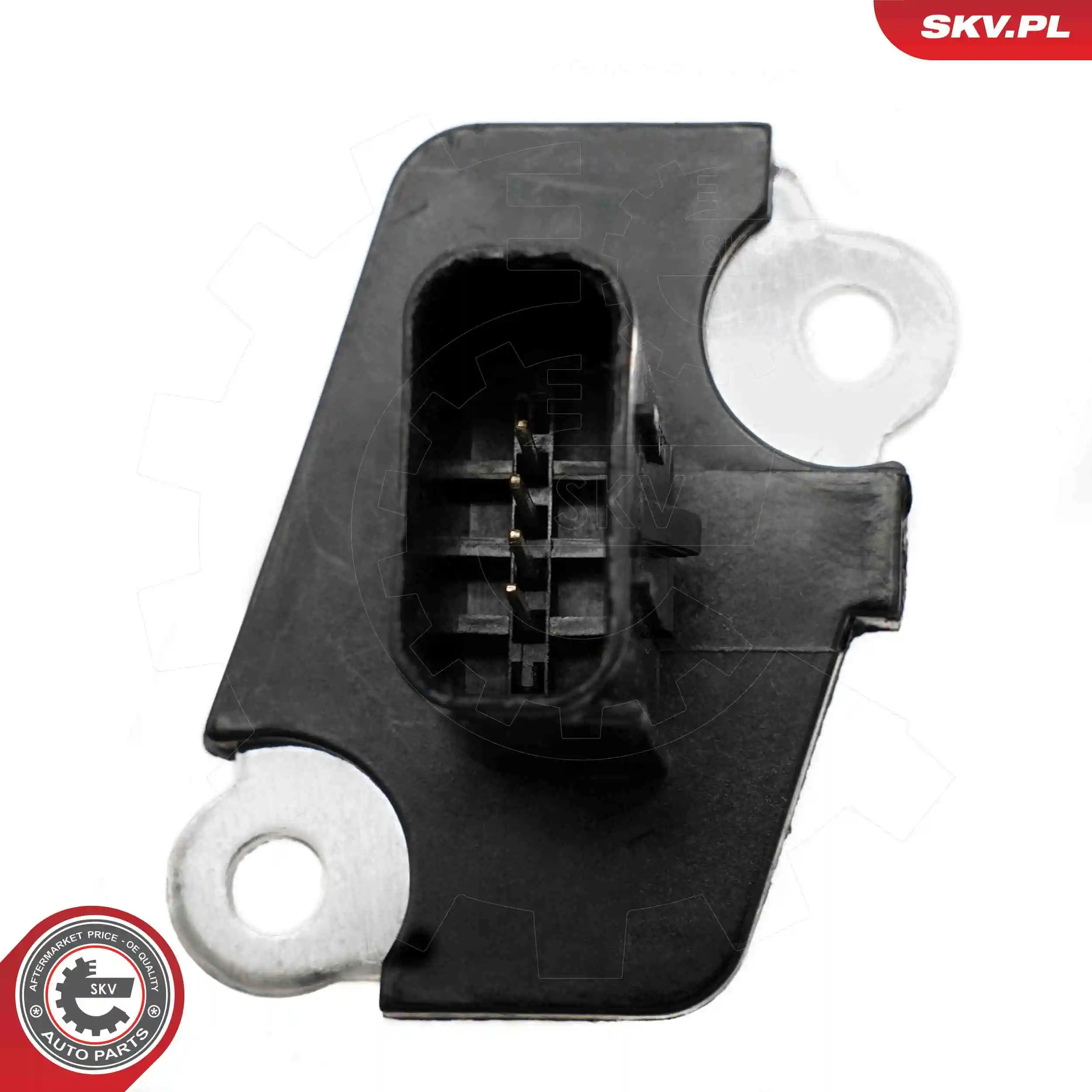 Mass Air Flow Sensor 07SKV194