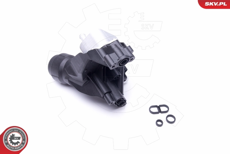 Oil Cooler, engine oil 31SKV166