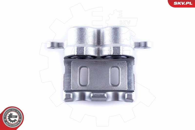 ESEN SKV 55SKV521 Brake Caliper