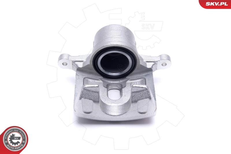 Brake Caliper 46SKV832
