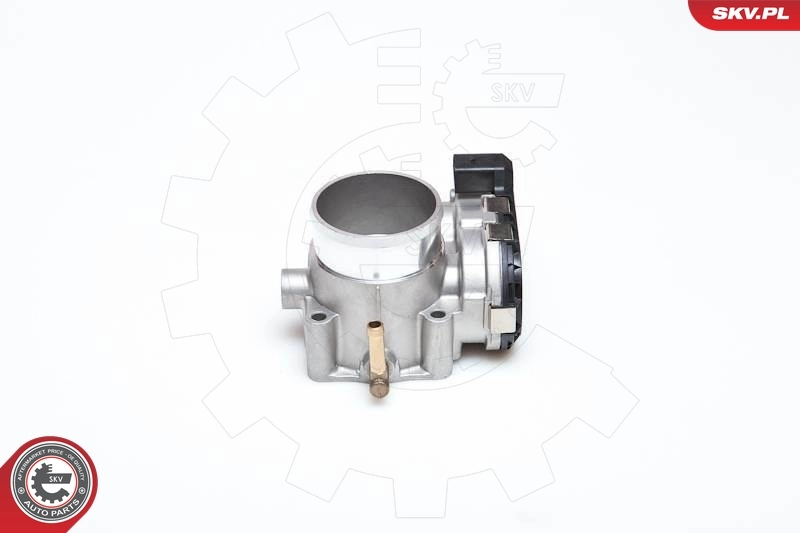 Throttle Body 12SKV008