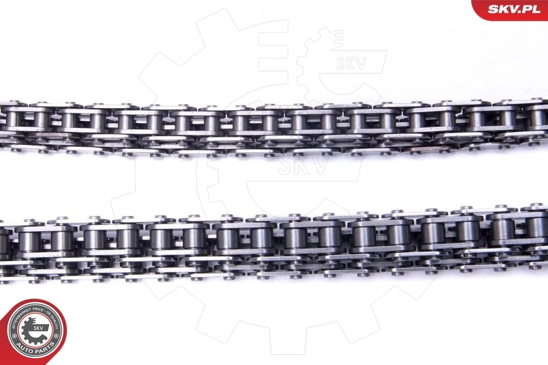 Timing Chain Kit 21SKV197
