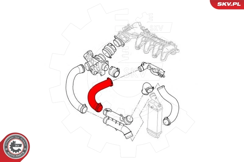 Charge Air Hose 43SKV251