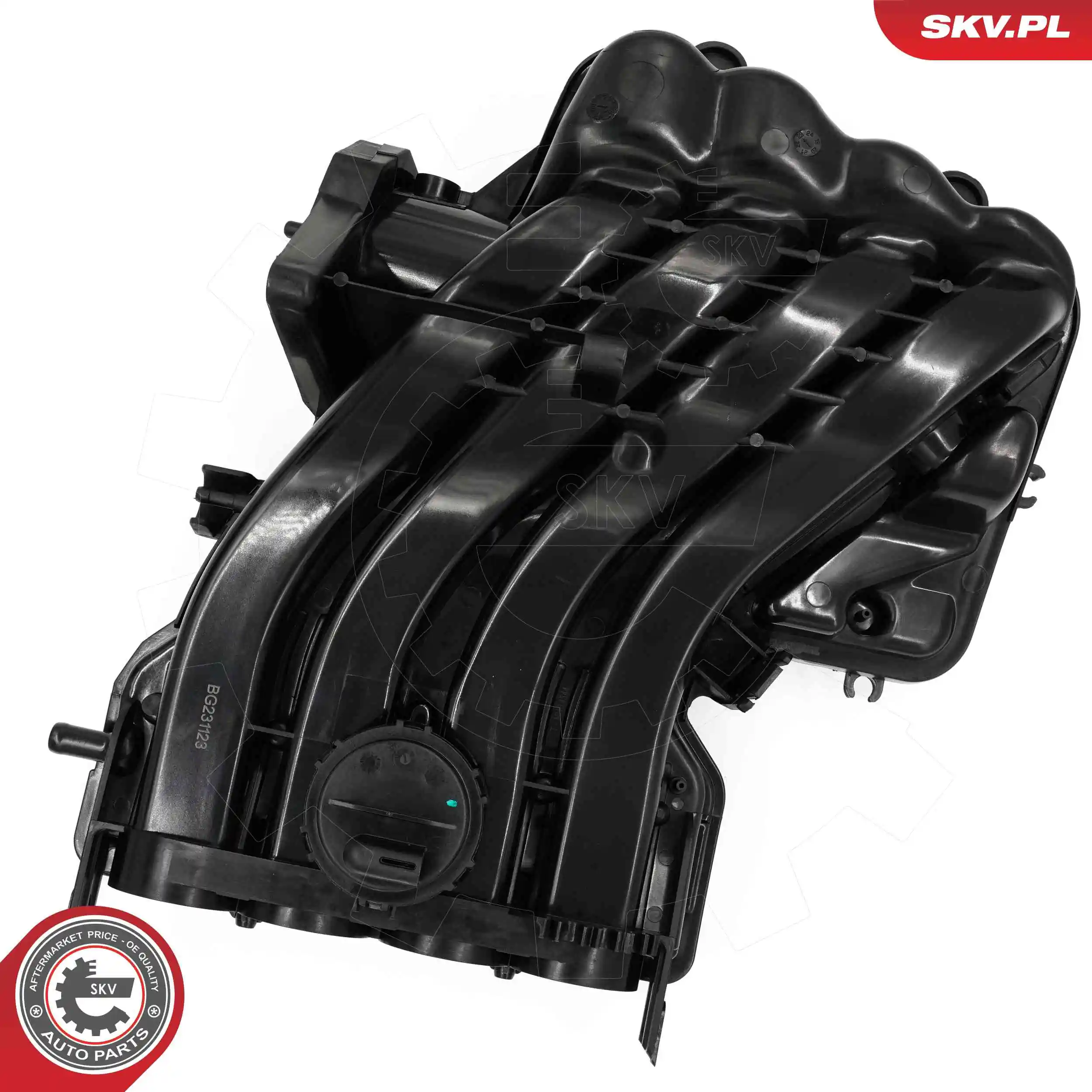 Intake Manifold Module 49SKV088