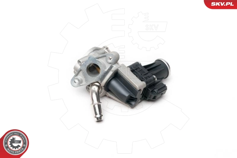 EGR Valve 14SKV101