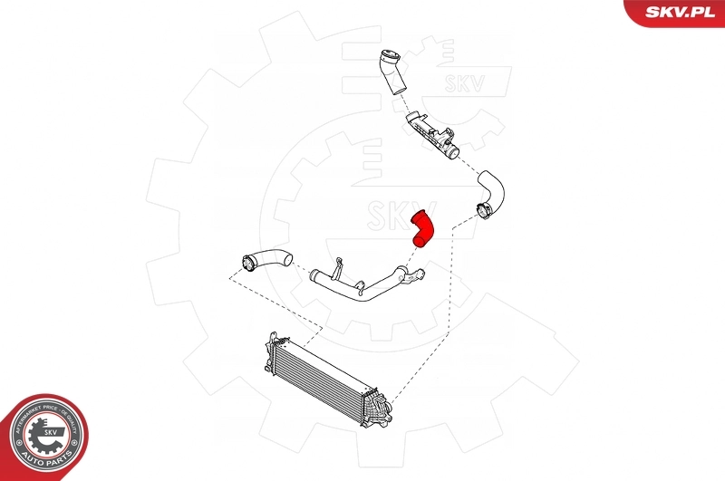 Charge Air Hose 43SKV149