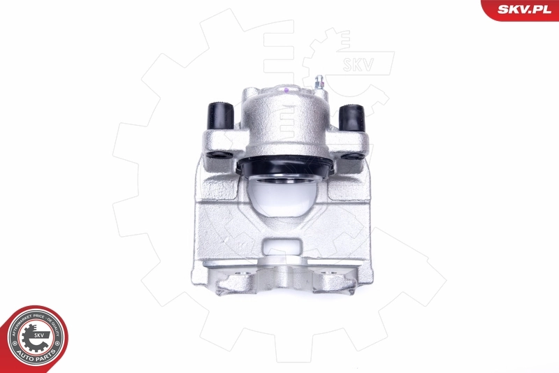 Brake Caliper 45SKV032