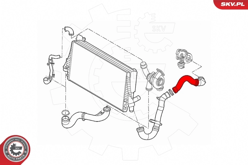 Charge Air Hose 43SKV346